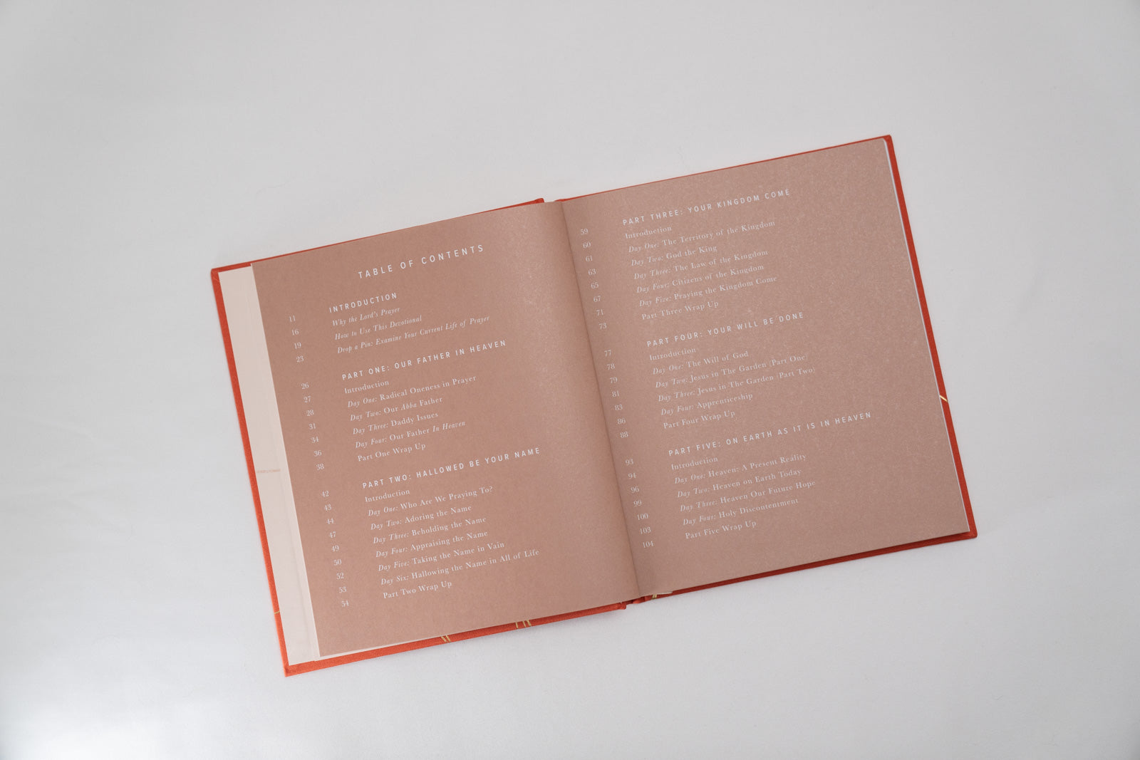 Pray Like This  - Devotional