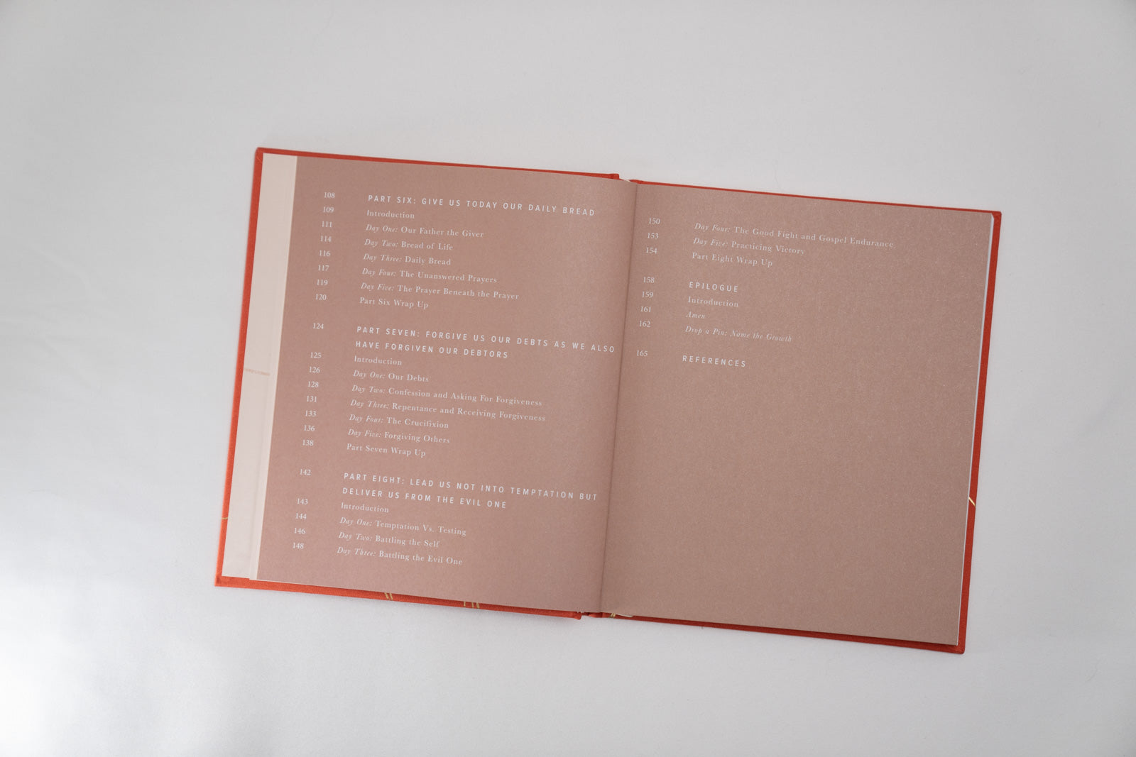 Pray Like This  - Devotional