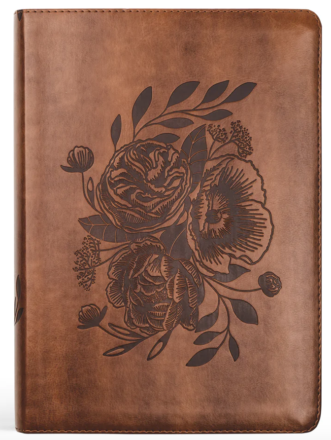 ESV STUDY BIBLE : AURORA THEME